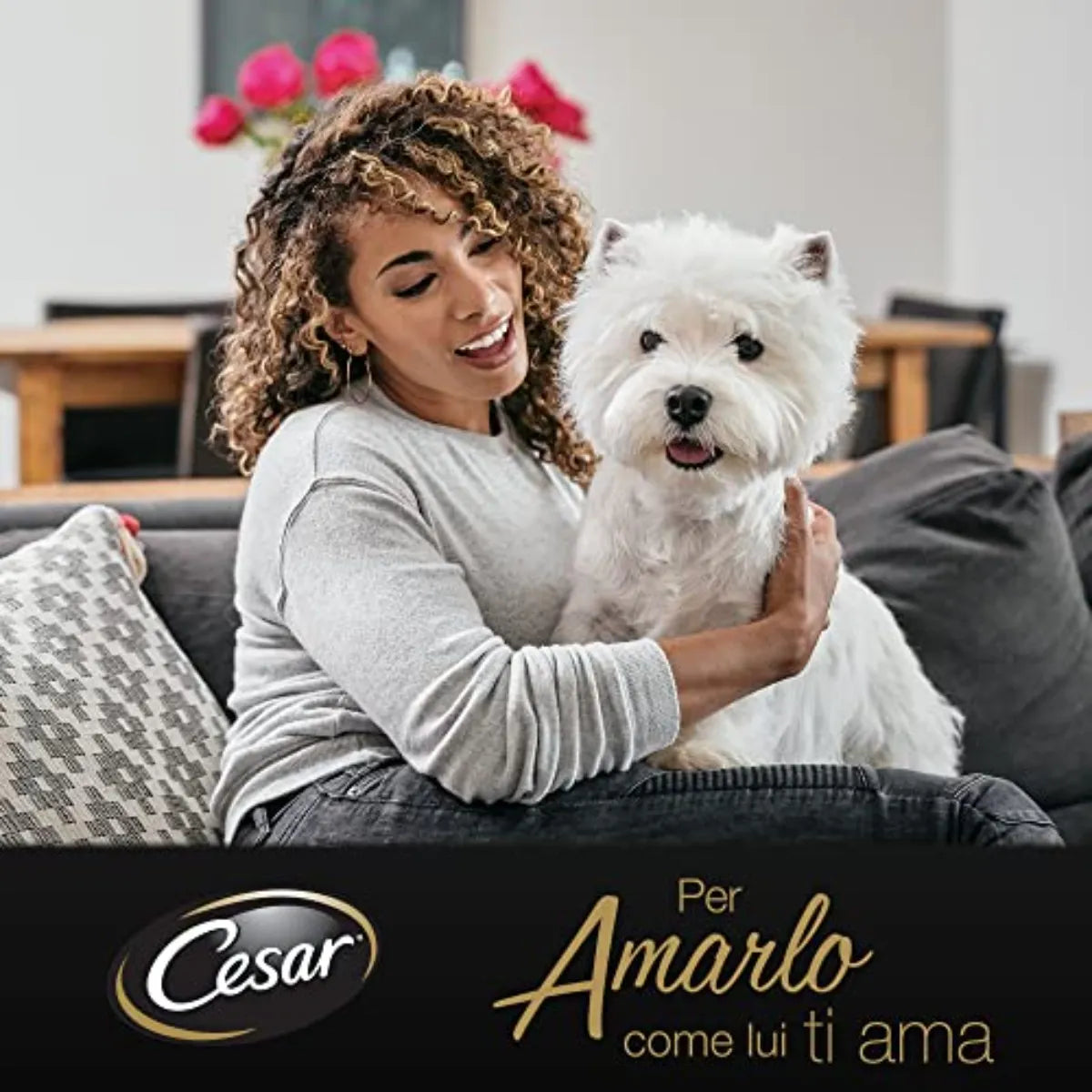 Cesar Ricette Di Campagna Agnello e Piselli 150g - Cibo Umido per Cani