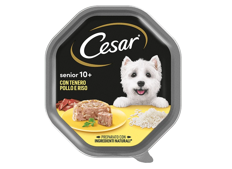Cesar Senior 10+ con Pollo e Riso 150gr - Alimento Umido per Cani Anziani