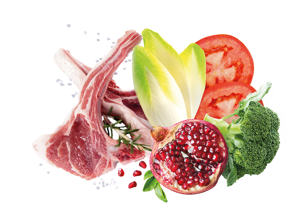 Ingredienti naturali Exclusion agnello 12kg, con melagrana, olio d’oliva, pomodoro e broccoli