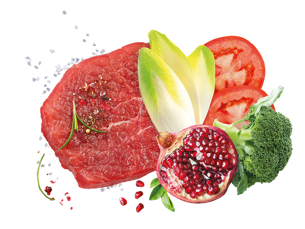 Ingredienti freschi Exclusion Noble Grain con manzo, verdure e superfood per cani adulti