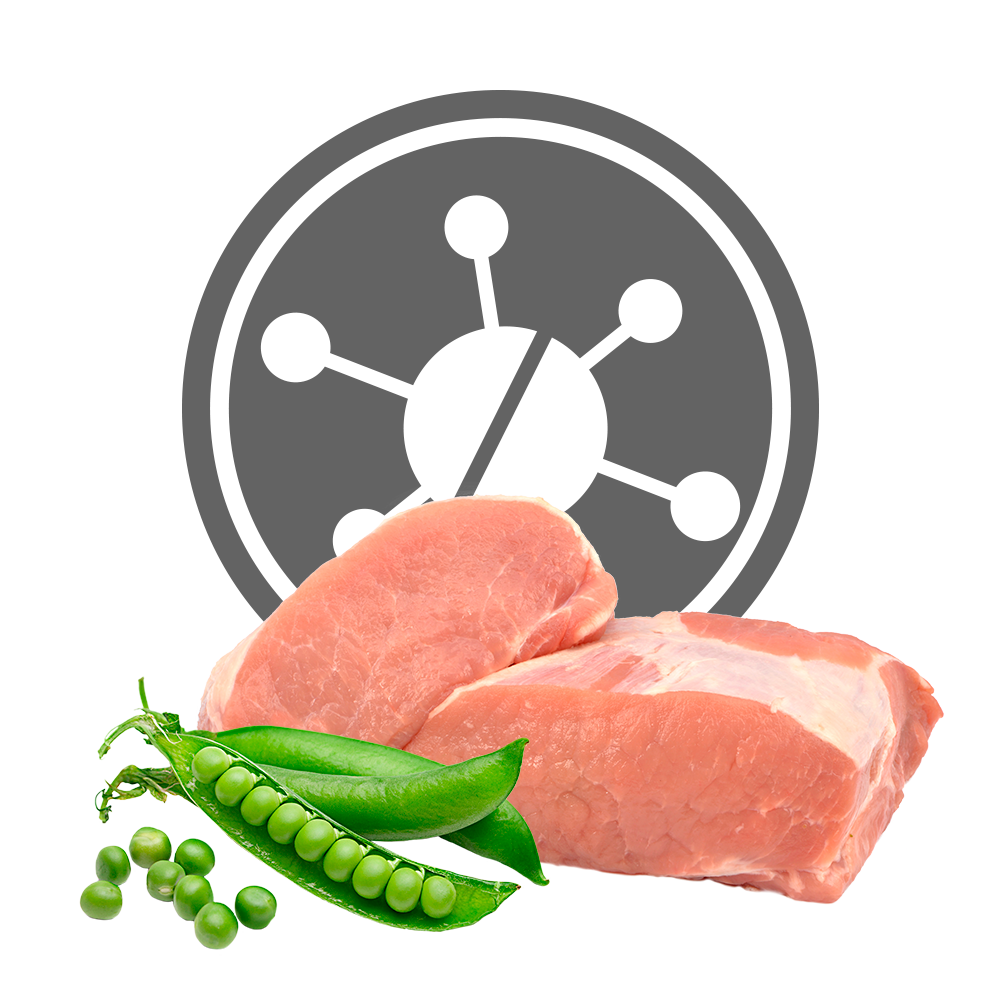 Exclusion Dog Diet Hypoallergenic Puppy Pork & Pea All Breeds 12 kg2