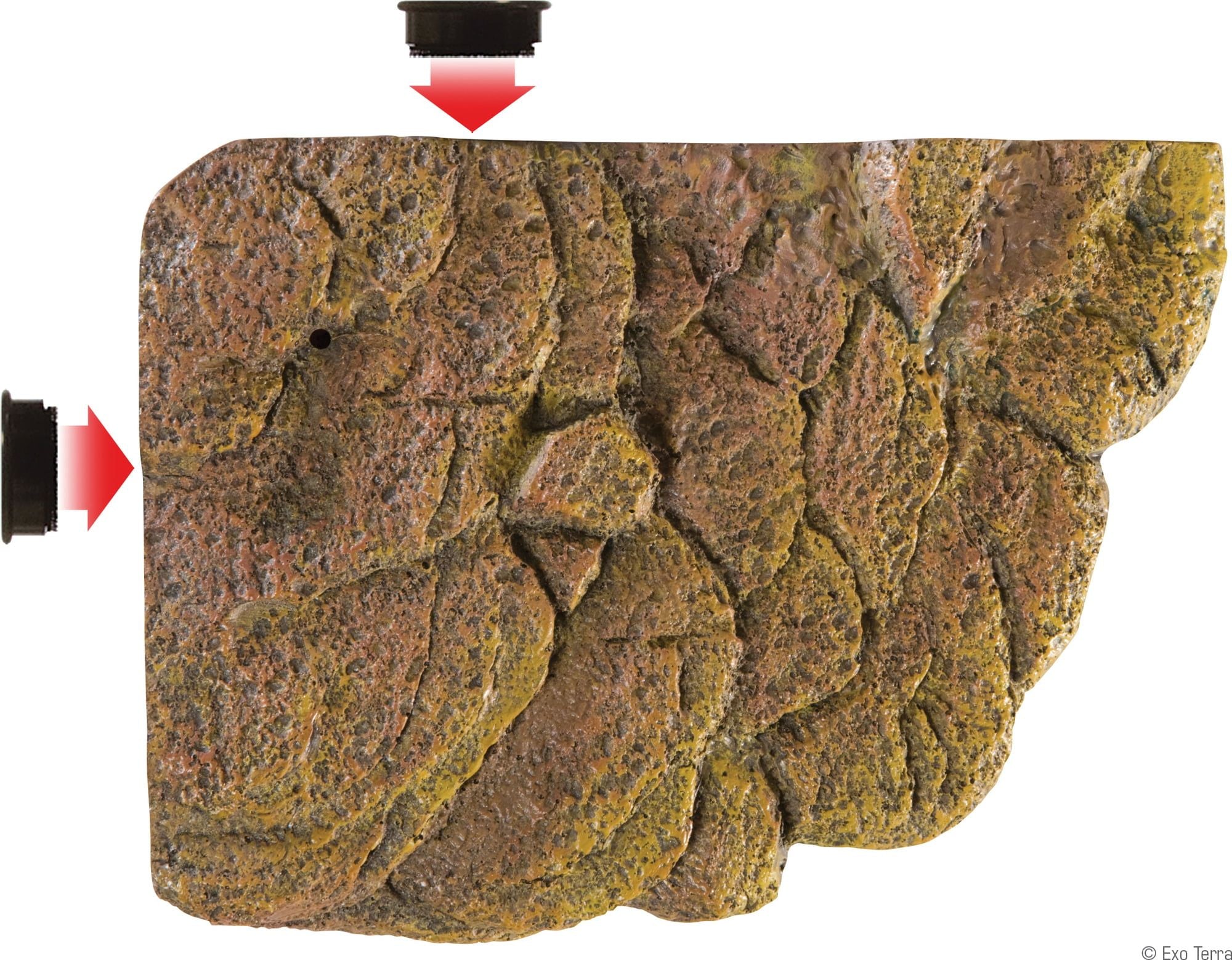 Exo Terra Turtle Bank M - Isola Galleggiante con Magneti per Tartarughine