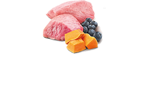 Farmina N&D Starter Mini Agnello Zucca e Mirtillo 140g - Umido Cane