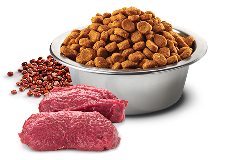 Alimento completo Farmina N&D Quinoa Skin&Coat Cervo 7 kg per cani adulti di taglia media e grande con sensibilità cutanea