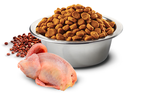 Alimento completo Farmina N&D Quinoa Skin&Coat Quaglia 7 kg per cani adulti medium e maxi con sensibilità cutanea