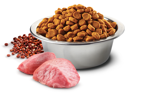Alimento dietetico Farmina N&D Quinoa Weight Management Agnello 7 kg per cani adulti medium maxi predisposti al sovrappeso