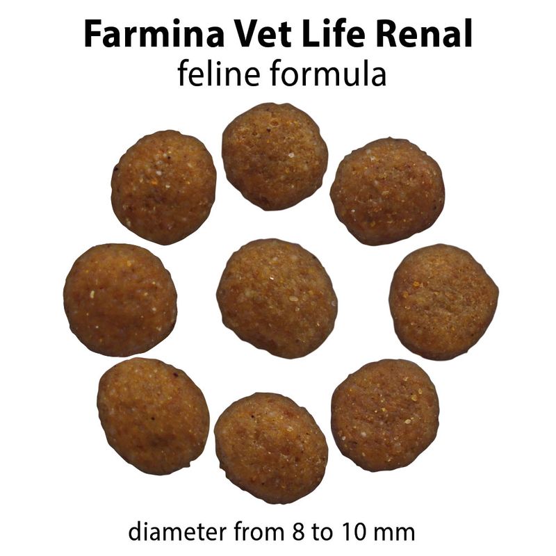 Farmina Vet Life Renal 2kg - Cibo secco per Gatti