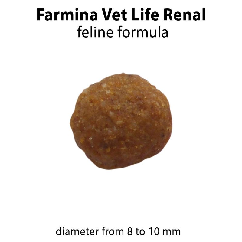 Farmina Vet Life Renal 2kg - Cibo secco per Gatti