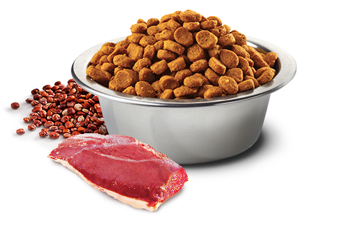 Farmina N&D Cane Quinoa Skin&Coat Medium/Maxi Anatra 2,5kg2