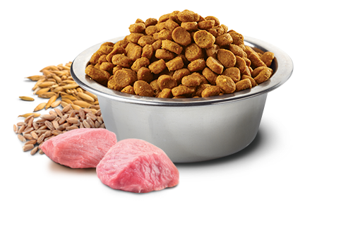 Farmina N&D Cane Tropical Selection Adult Mini Maiale 1,5kg2