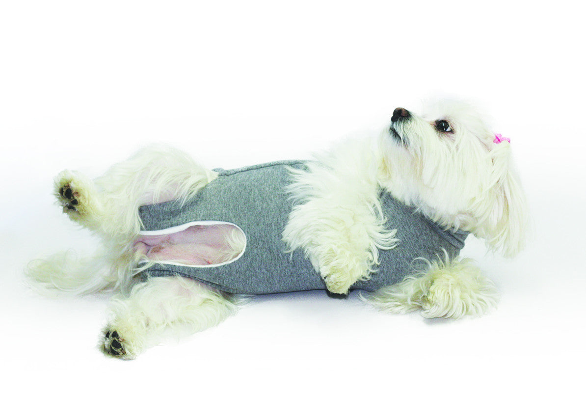 Fashion Dog Cura Pets - Body Post Operatorio Aperto Sotto Tg43