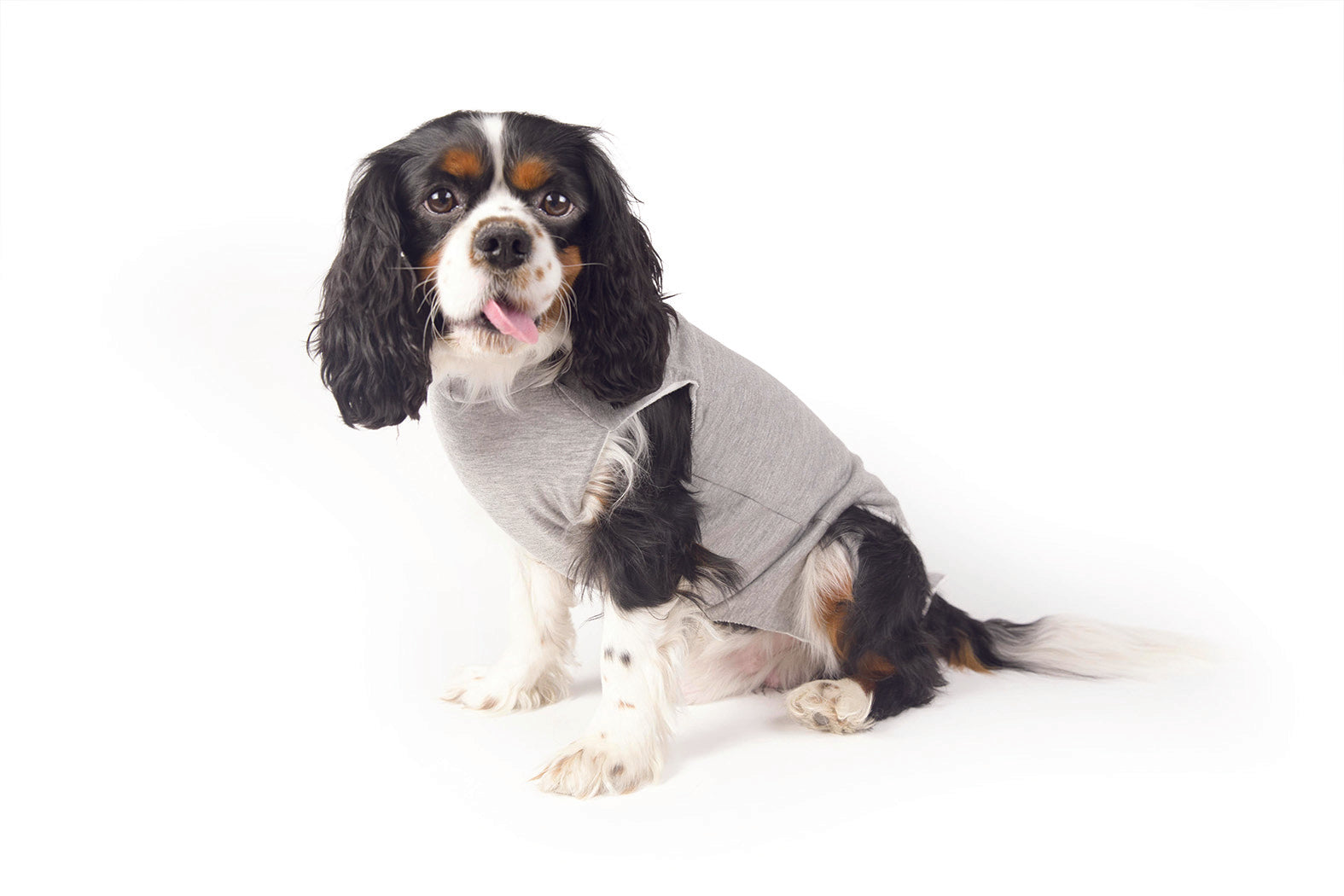 Fashion Dog Cura Pets - Body Post Operatorio Aperto Sotto Tg43