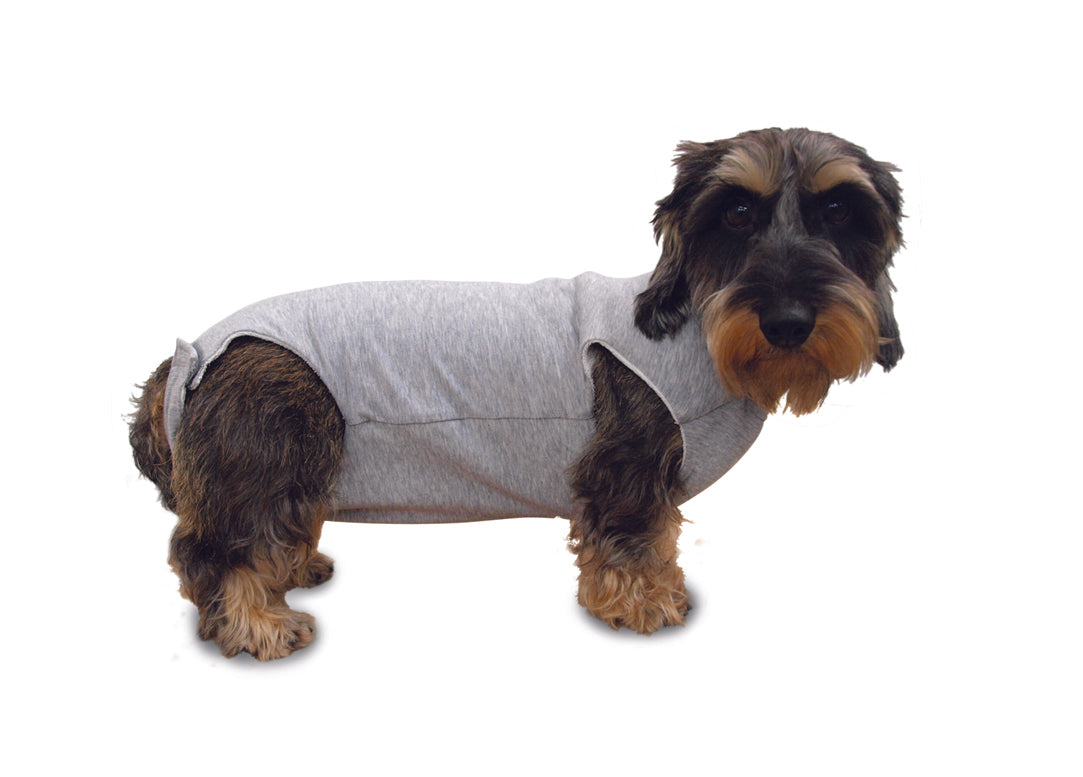 Fashion Dog Cura Pets - Body Post Operatorio Pancia Coperta Tg55