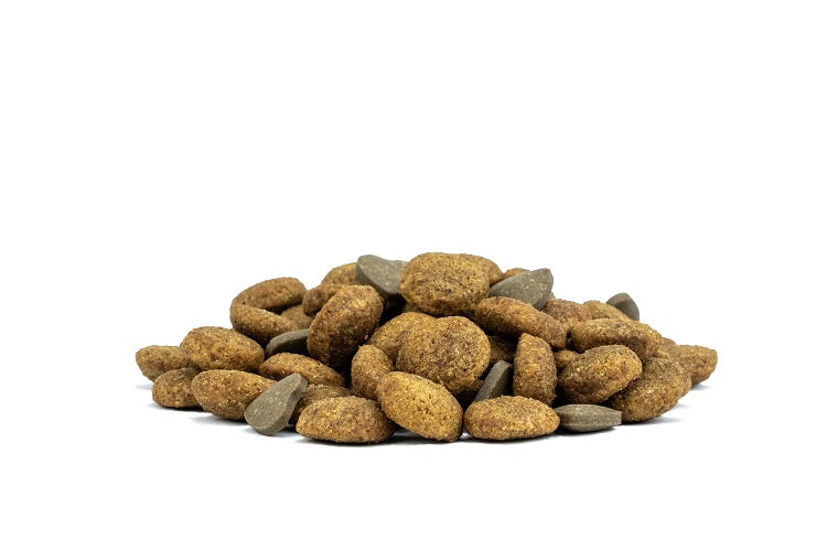 Forza10 Active Urinary All Size 1,5kg – Gatto Adulto