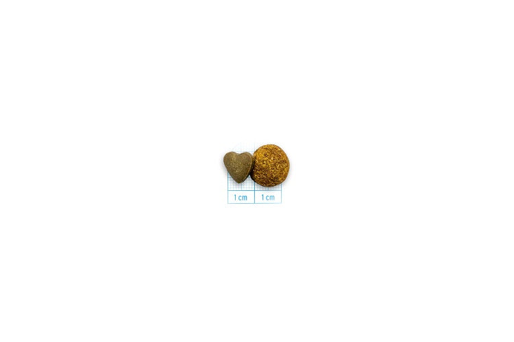 Forza10 Active Urinary All Size 1,5kg – Gatto Adulto