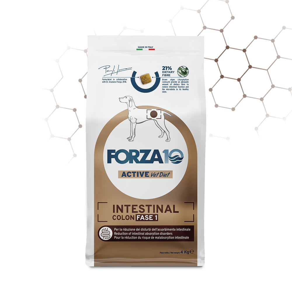 Forza10 Intestinal Colon Fase 1 10kg cane adulto, alimento dietetico con pesce e 21% fibre per assorbimento intestinale alterato