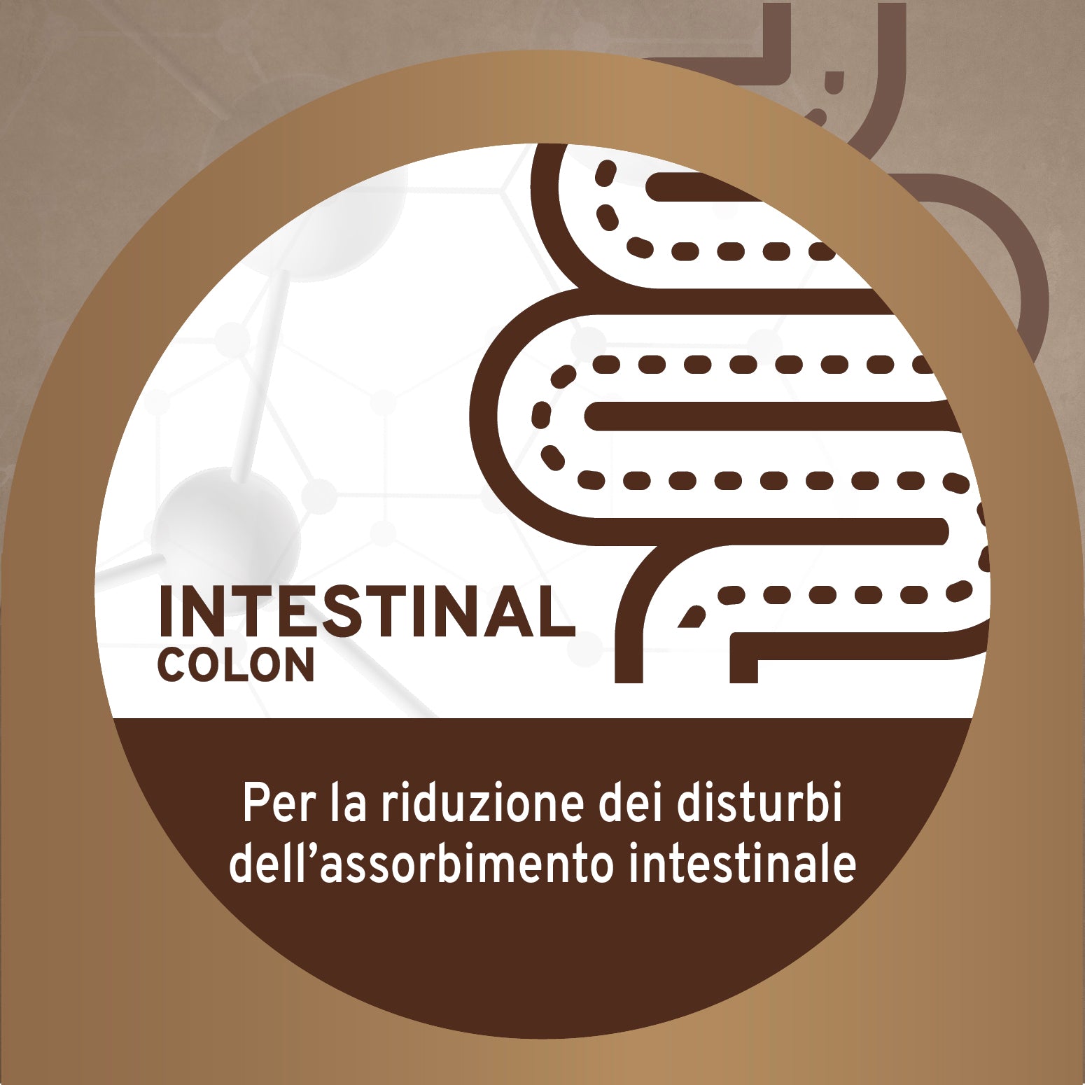 Forza10 umido cane intestinale 390g con pesce e alghe, per disturbi da malassorbimento intestinale