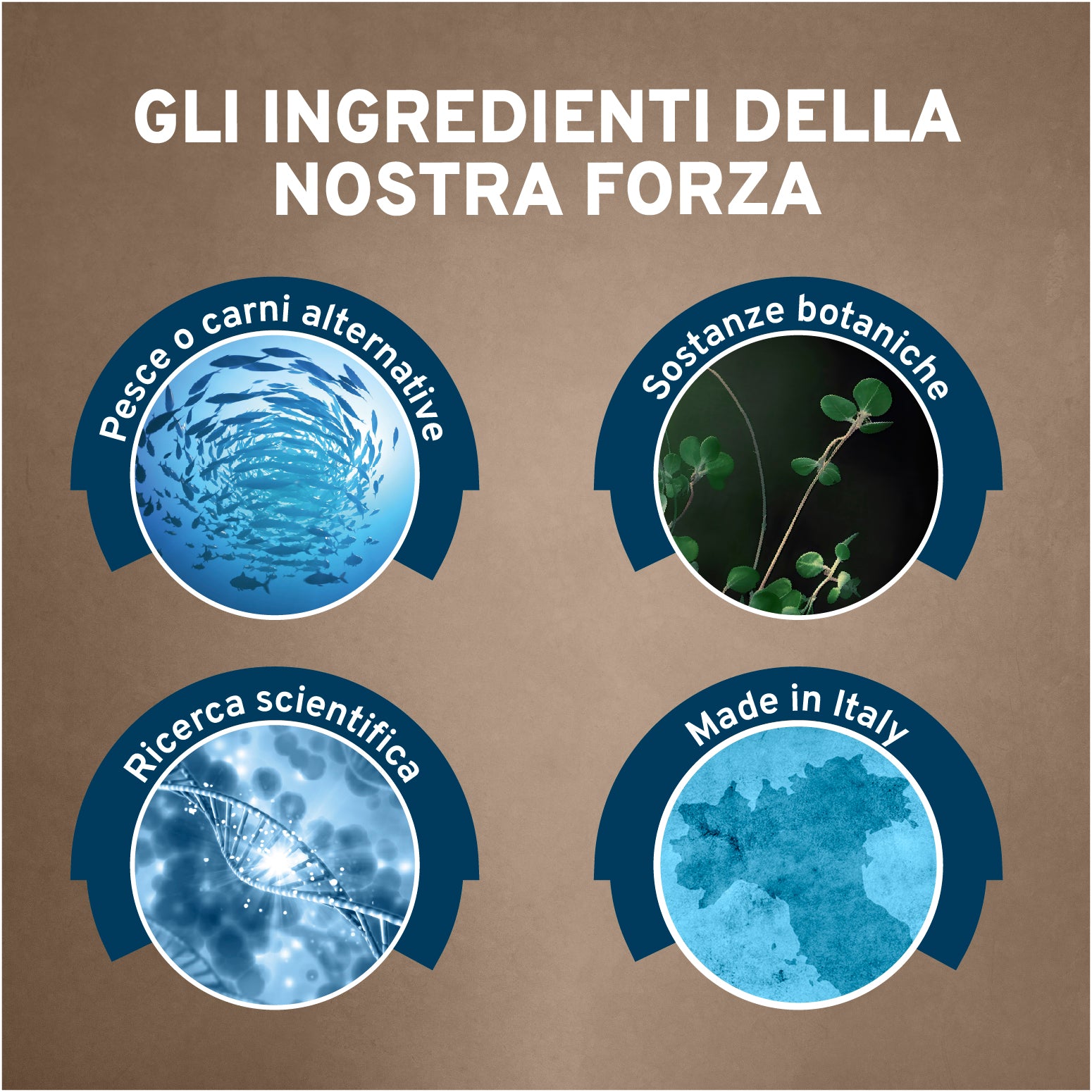 Forza10 umido cane intestinale 390g con pesce e alghe, per disturbi da malassorbimento intestinale