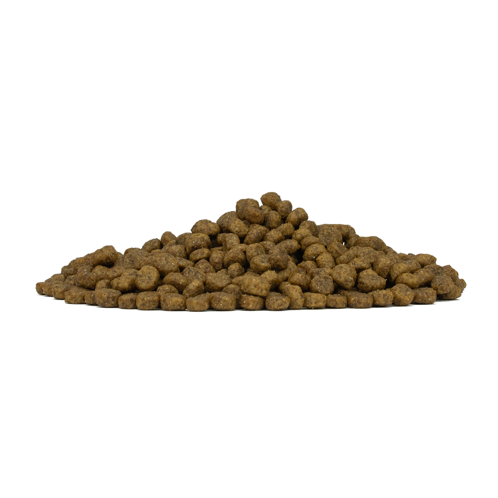 Forza10 Mini/Adult Agnello 1.5kg - Cani Adulti Hypoallergenic