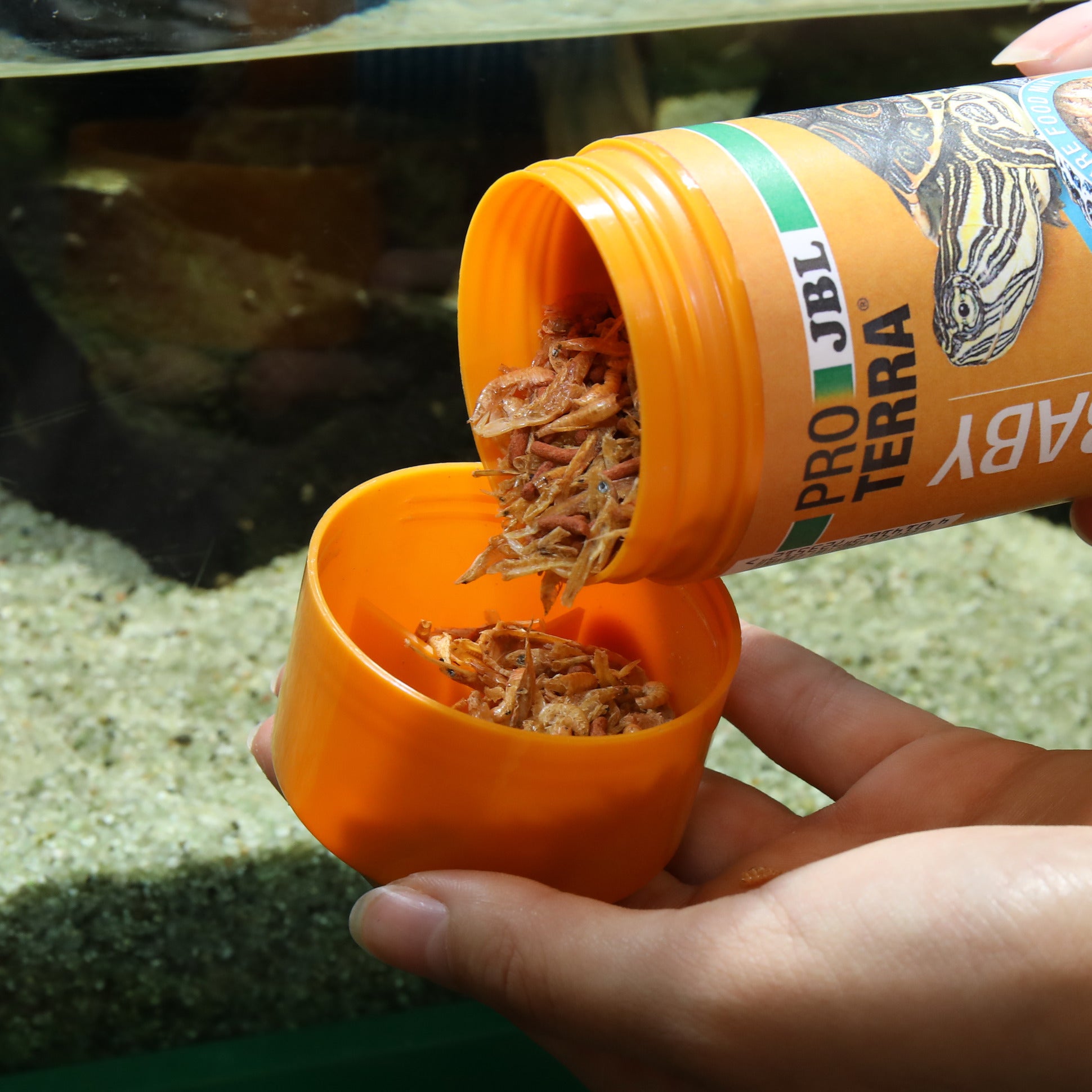 JBL Proterra Baby 250ml Mangime per Tartarughine d'Acqua Giovani