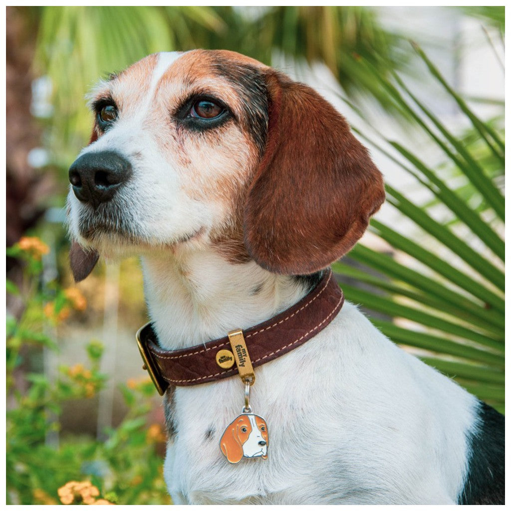 My Family Targhetta Cani - Medaglietta Friends Beagle