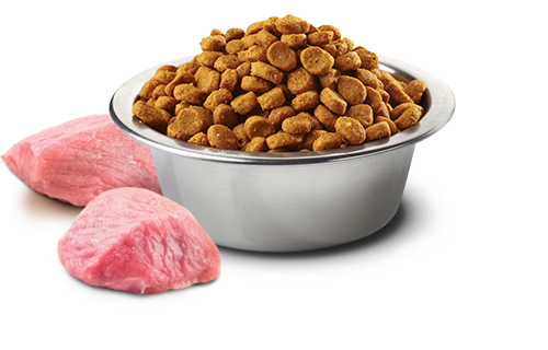 N&D Prime Adult Mini 2,5 kg Cinghiale & Mela – Cibo Secco per Cani Adulti