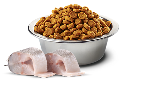 Ciotola con crocchette N&D White 1,5 kg per cuccioli di cane con tranci di pesce