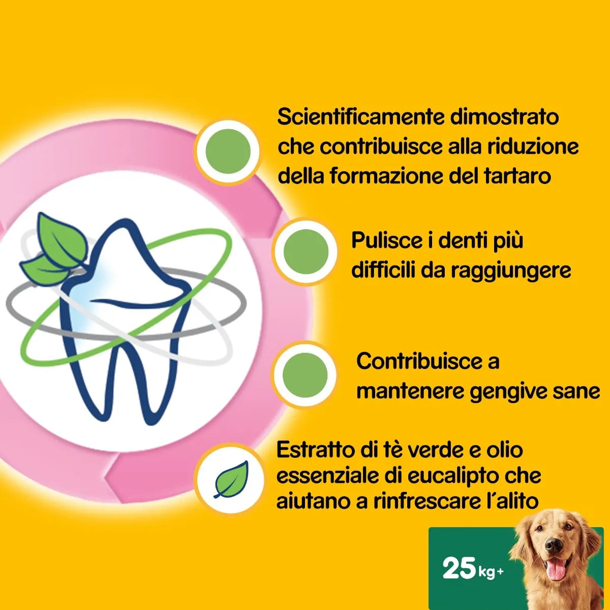 Pedigree Dentalstix Fresh Large 21pz Snack Igiene Orale del Cane