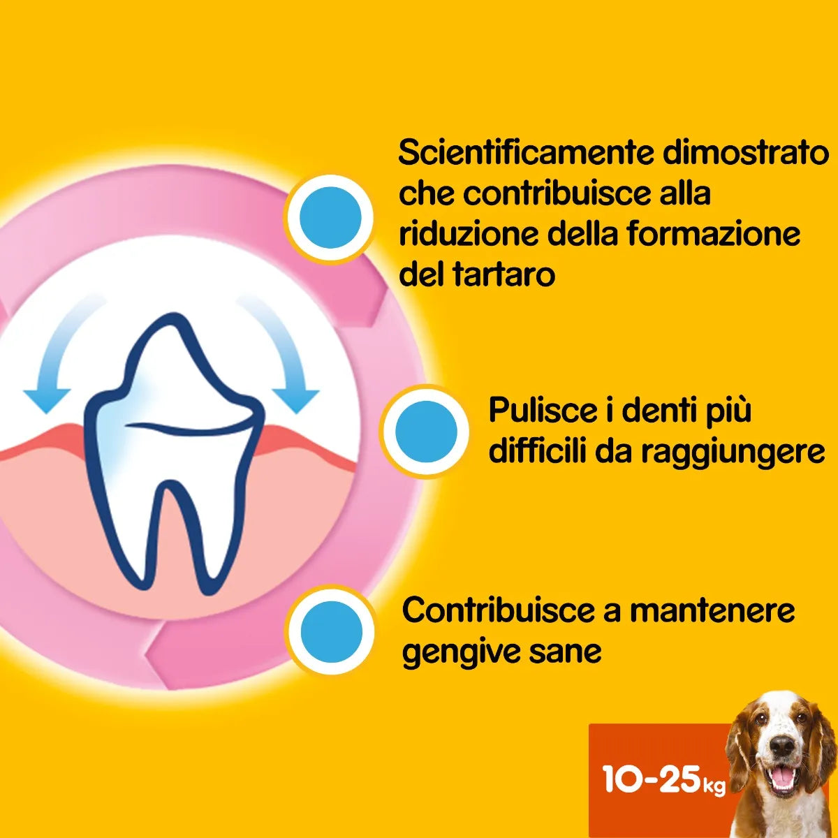 Pedigree Dentastix Medium 3pz – Cani di Taglia 10-25kg