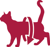 Gemon Gatto Sterilised Manzo 2kg