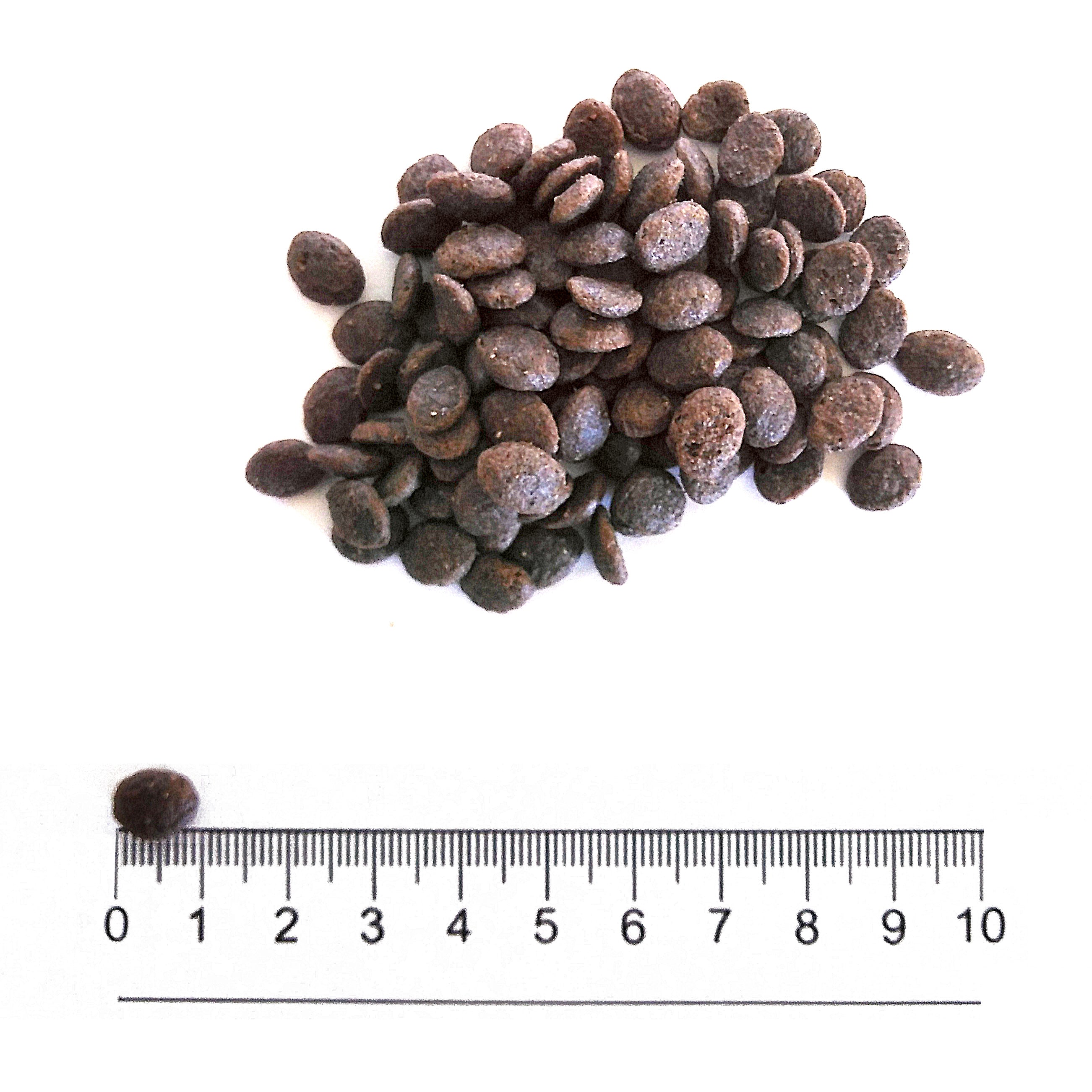 Crocchette Prolife Grain Free Puppy Sensitive Maiale e Patate Mini 7 kg per cuccioli di taglia piccola