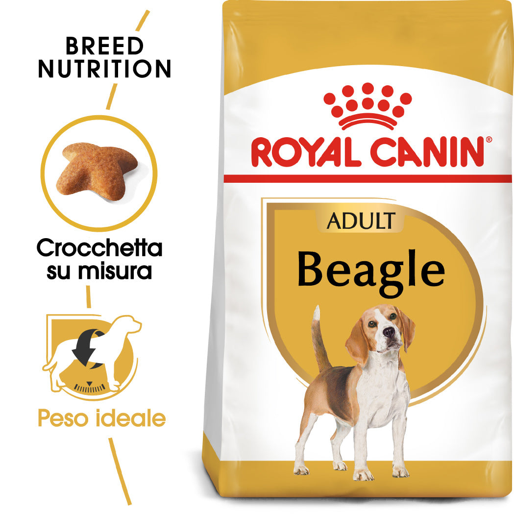 Royal Canin Beagle Adult 12kg - Crocchette per Cani