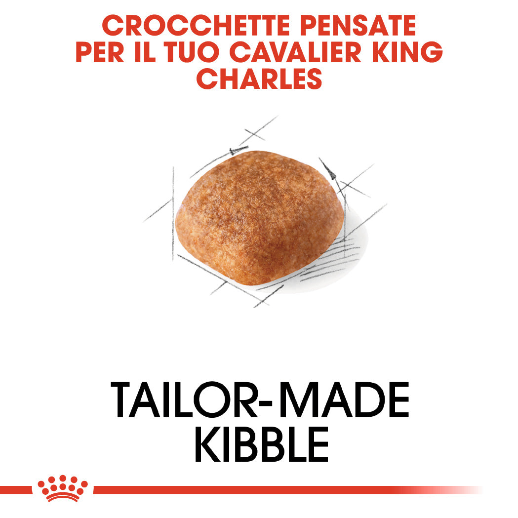 Royal Canin Cavalier King Adult 1,5kg - Crocchette per Cani