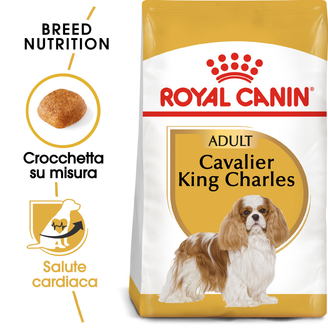 Royal Canin Cavalier King Adult 1,5kg - Crocchette per Cani