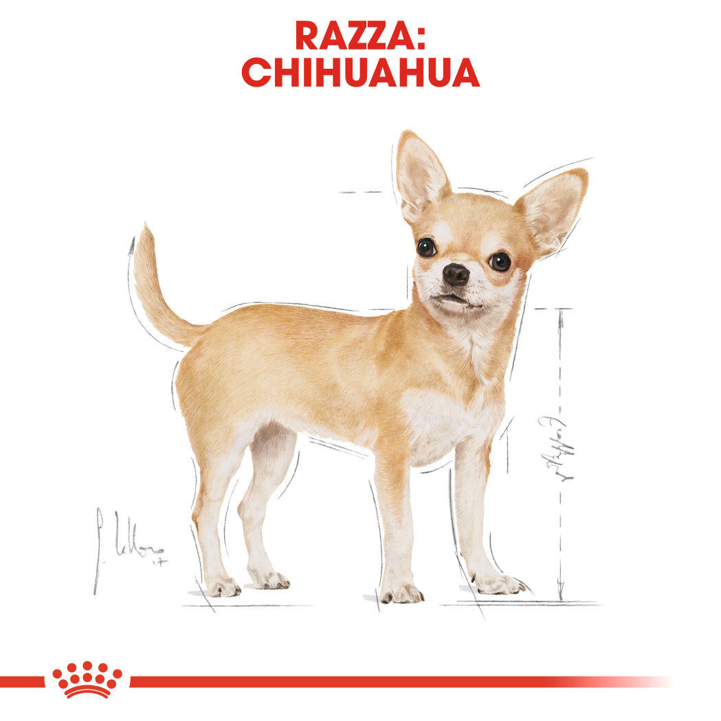 Royal Canin Chihuahua Adult 1,5kg - Crocchette per Cani