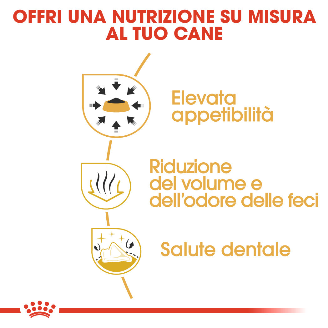 Royal Canin Chihuahua Adult 1,5kg - Crocchette per Cani