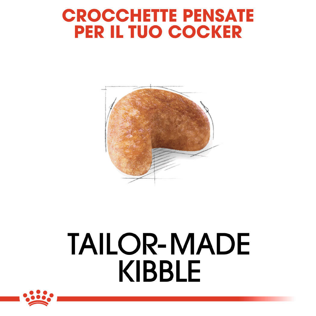 Royal Canin Cocker Adult 3kg - Crocchette per Cani