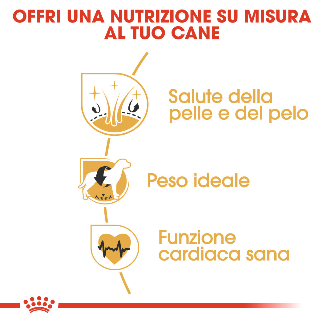 Royal Canin Cocker Adult 3kg - Crocchette per Cani