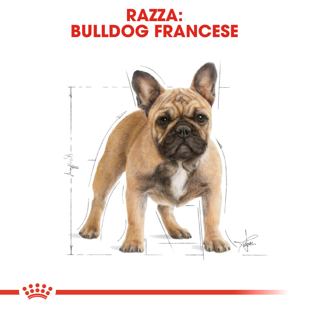Royal Canin French Bulldog Adult 3kg - Crocchette per Cani