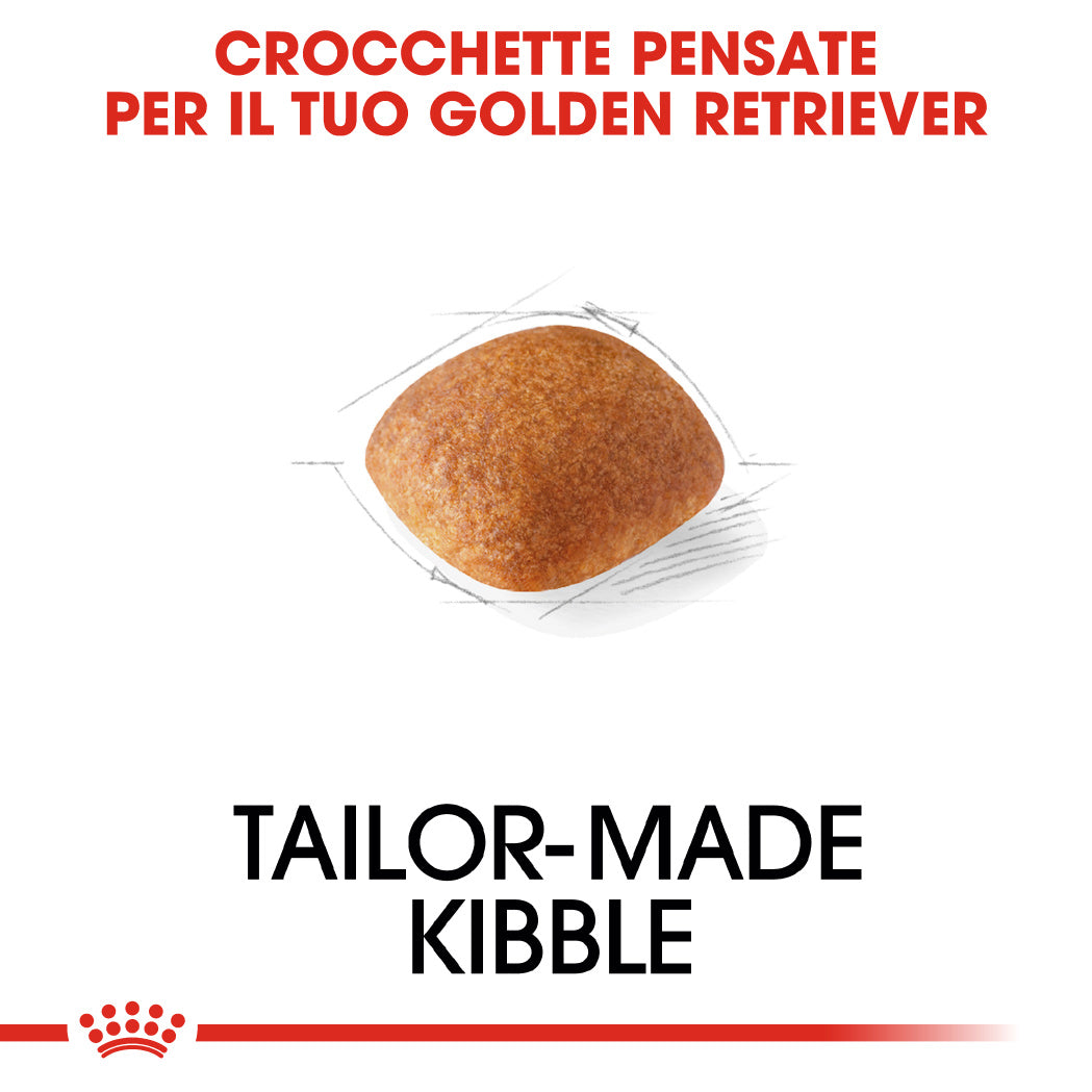 Royal Canin Golden Retriever Adult 3kg - Crocchette per Cani