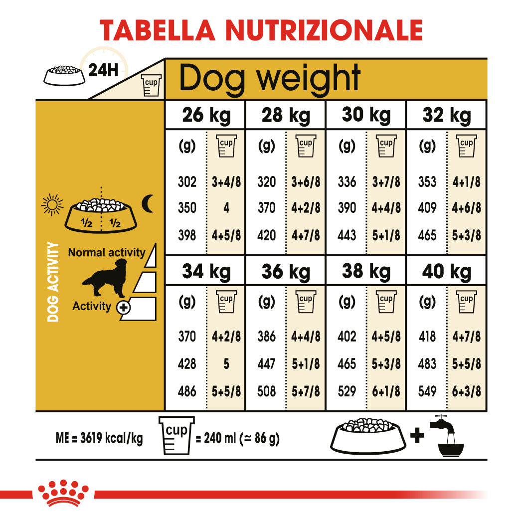 Royal Canin Golden Retriever Adult 3kg - Crocchette per Cani