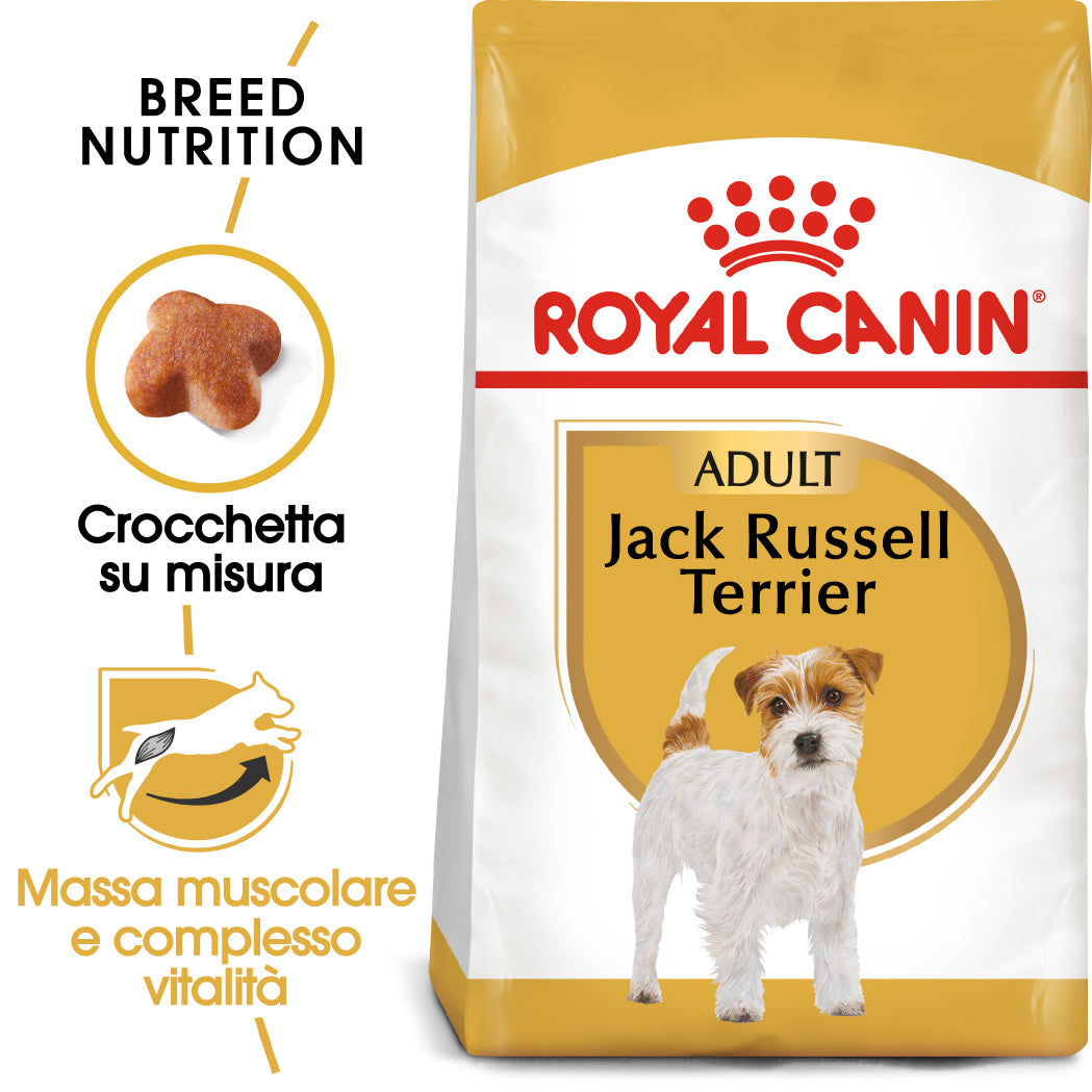 Royal Canin Jack Russel Adult 1,5kg