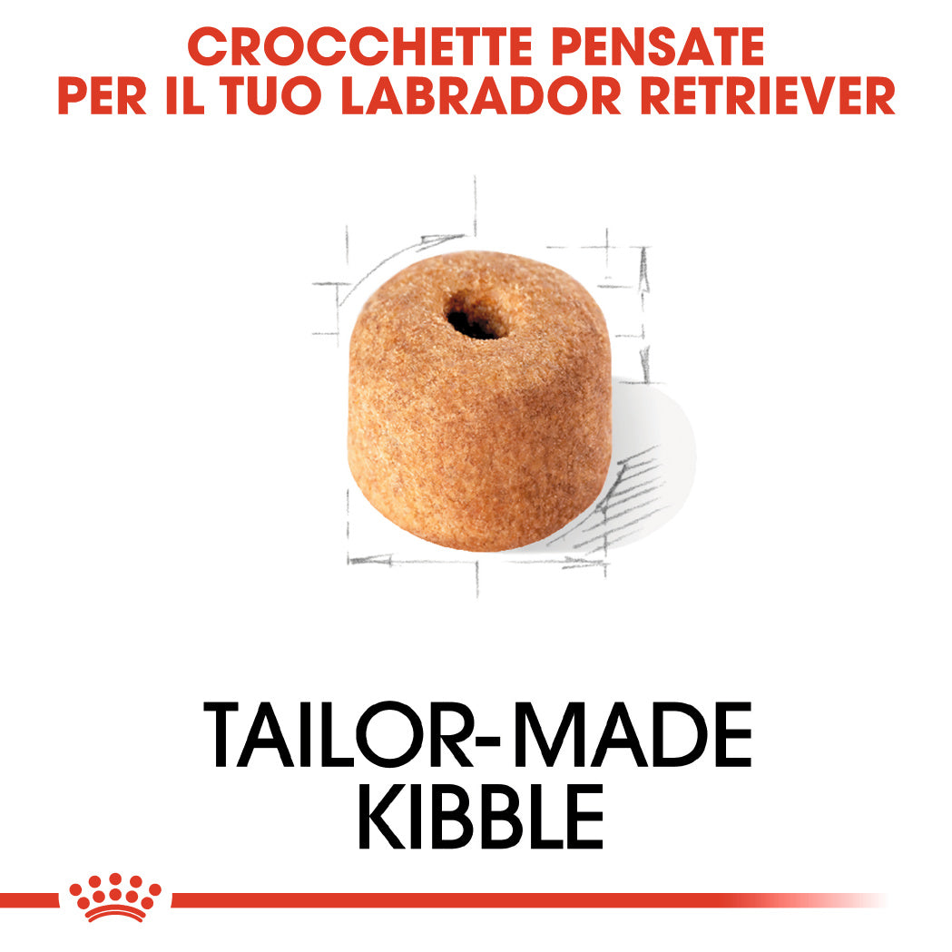 2x12kg Royal Canin Labrador Retriever Adult - Crocchette per Cani