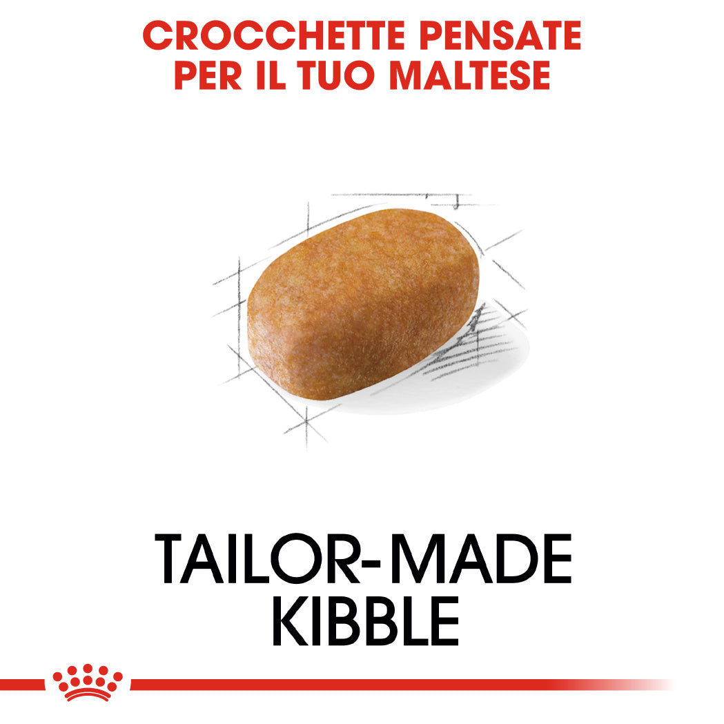 Royal Canin Maltese Adult 1,5kg - Crocchette per Cani