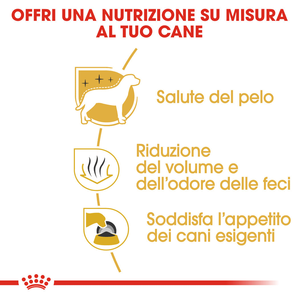 Royal Canin Maltese Adult 1,5kg - Crocchette per Cani