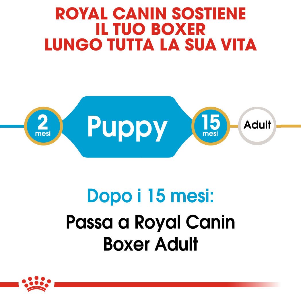 Royal Canin Boxer Puppy 12kg - Crocchette per Cani