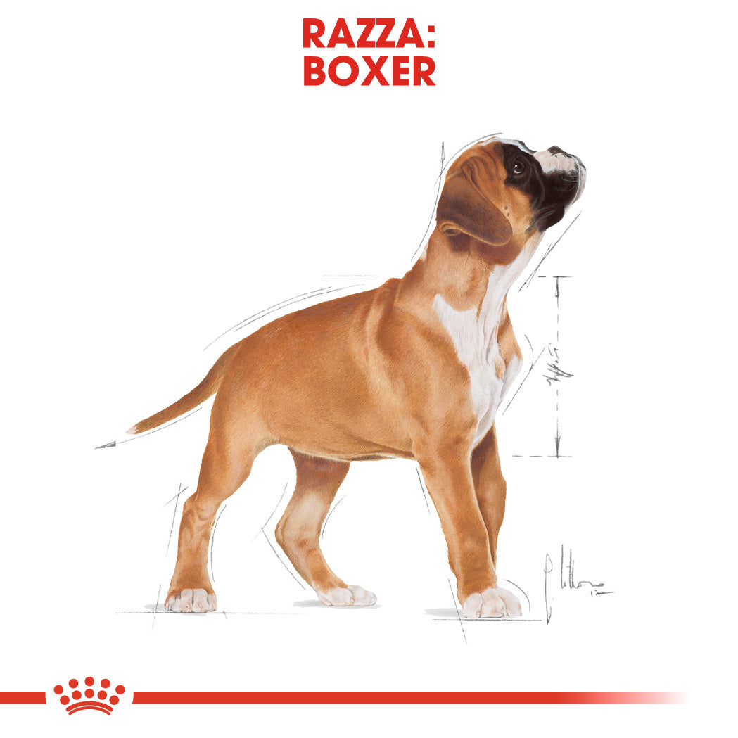 Royal Canin Boxer Puppy 12kg - Crocchette per Cani