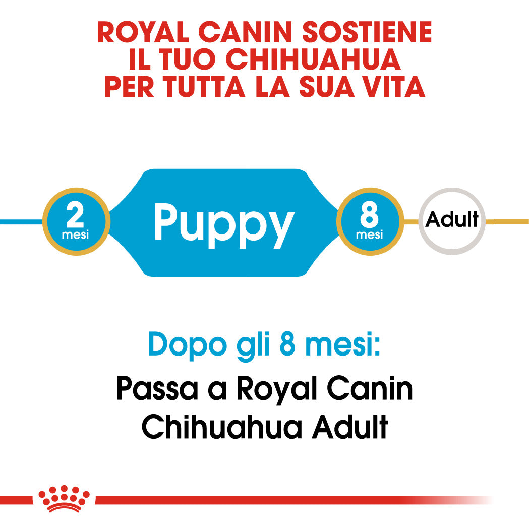 Royal Canin Chihuahua Puppy 1,5kg - Crocchette per Cani