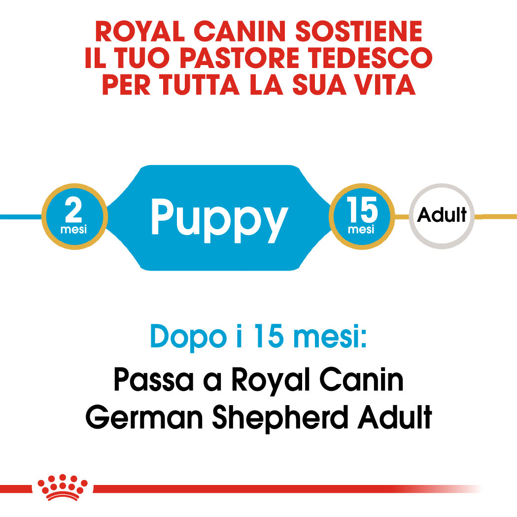 Royal Canin German Shepherd (Pastore Tedesco) Puppy 3kg
