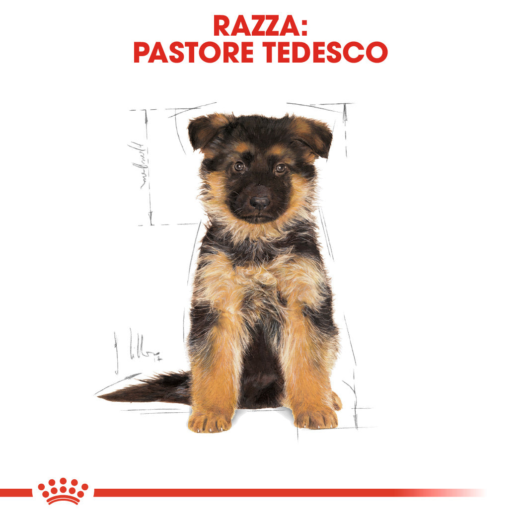 Royal Canin German Shepherd (Pastore Tedesco) Puppy 3kg